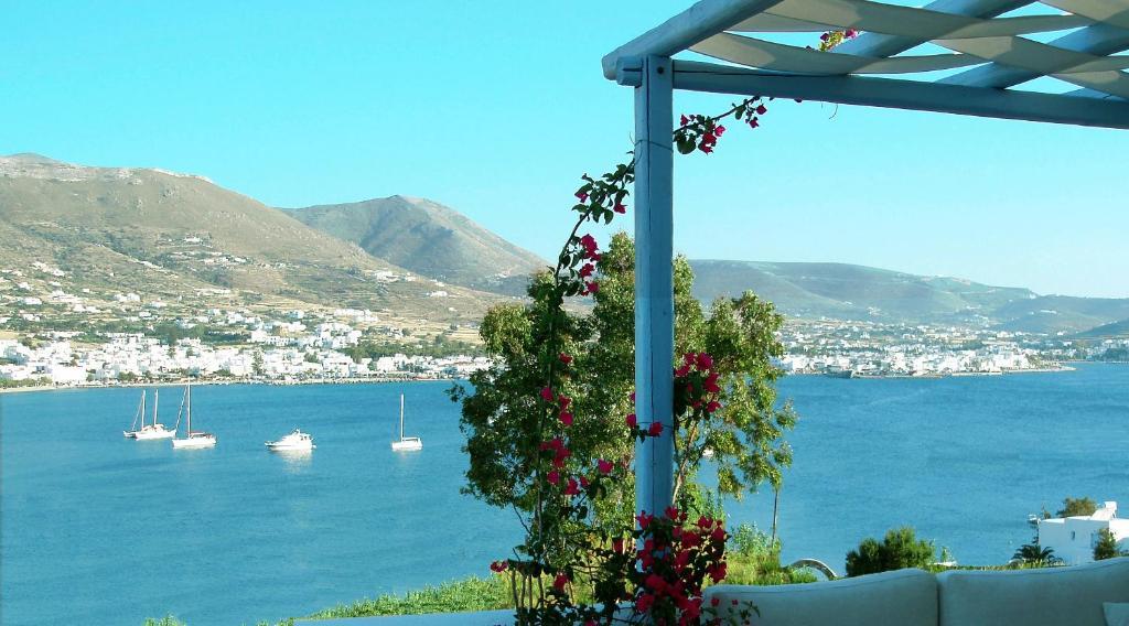Paros Paradise Apartments Cameră foto